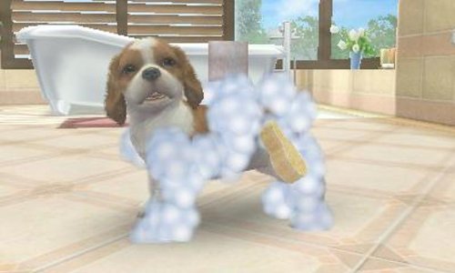 Nintendo Nintendogs Cats Toy Poodle And New Friends 3Ds Used