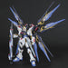 Bandai Spirits Strike Freedom Gundam Model 1/60 Scale Gundam Seed Destiny PG- Japan Figure Store - #1 Bring To You The Best Japanese Goods