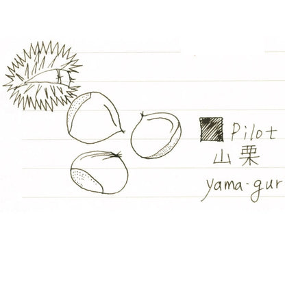 PILOT Fountain Pen Ink Iroshizuku Yama-Guri Ink-50-Yg- Japan Figure Store - #1 Bring To You The Best Japanese Goods
