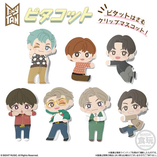 Bandai Pitacot Tinytan All 14 Type Set Japanese Completed Figure Set Anime Decoration- Japan Figure Store - #1 Bring To You The Best Japanese Goods