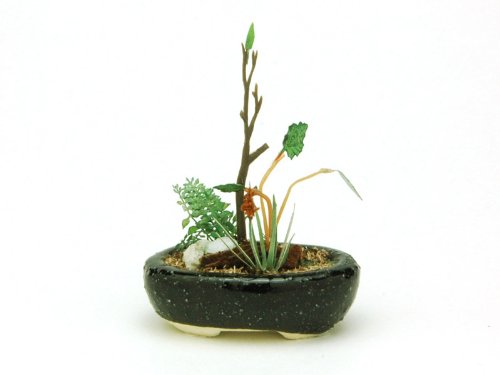 PLATZ Bonn03 The Bonsai Kobanbachi Planting Black 1/12 Scale Finished Model- Japan Figure Store - #1 Bring To You The Best Japanese Goods