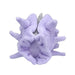 Pokemon Center Original Plush Pokémon Fit Cloyster Japan Figure 4521329245508 1