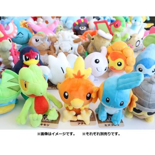 Pokemon Center Original Plush Pokémon Fit Treecko Japan Figure 4521329316116 3