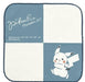 Pokemon/Microfiber Handkerchief [Walk] 206925- Japan Figure Store - #1 Bring To You The Best Japanese Goods