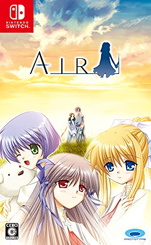 Prototype Air For Nintendo Switch - New Japan Figure 4580206271016