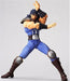 Revoltech Fist Of The North Star Revolution No.003 Rei Figure- Japan Figure Store - #1 Bring To You The Best Japanese Goods