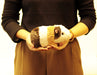 YOSHITOKU Plush Doll Land Animal Friends Cavia- Japan Figure Store - #1 Bring To You The Best Japanese Goods
