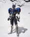 S.i.c. Limited Masked Kamen Rider Den-o Rod Form & Axe Form Action Figure Bandai- Japan Figure Store - #1 Bring To You The Best Japanese Goods