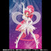 S.h.figuarts Heart Catch Precure Cure Blossom Super Silhouette Figure Bandai- Japan Figure Store - #1 Bring To You The Best Japanese Goods