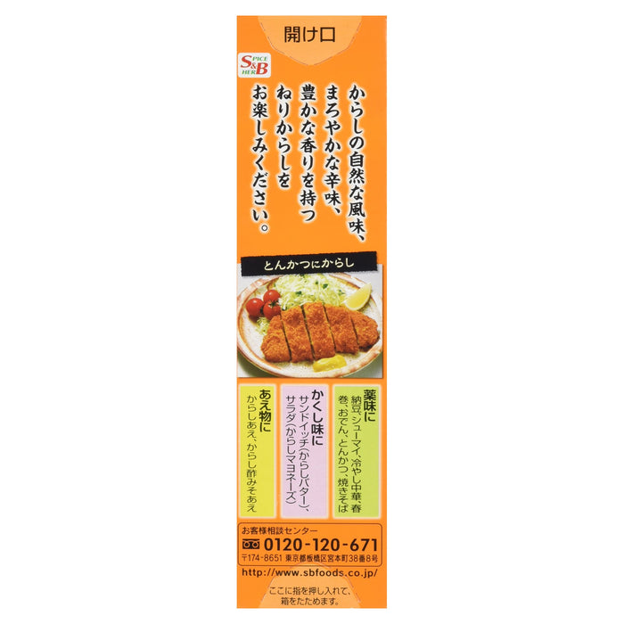 S&B Neri Mustard 43G Japanese Spices- Japan Figure Store - #1 Bring To You The Best Japanese Goods