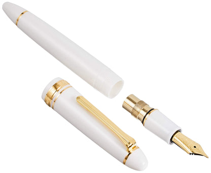 SAILOR Profit 21 Fountain Pen We Z 11-2021-710- Japan Figure Store - #1 Bring To You The Best Japanese Goods