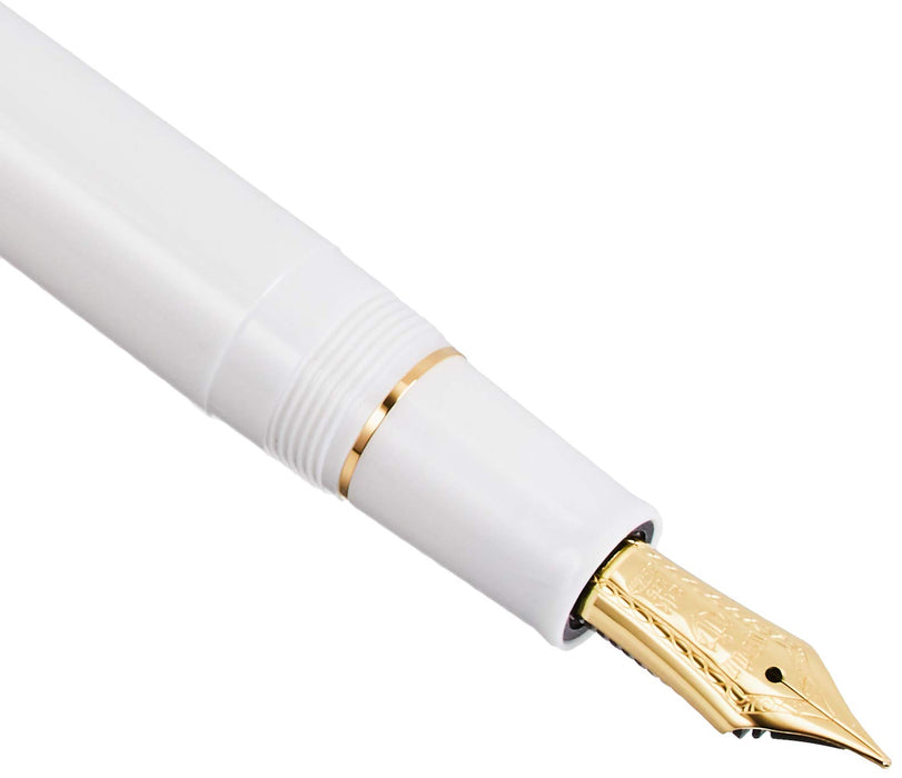 SAILOR Profit 21 Fountain Pen We Z 11-2021-710- Japan Figure Store - #1 Bring To You The Best Japanese Goods