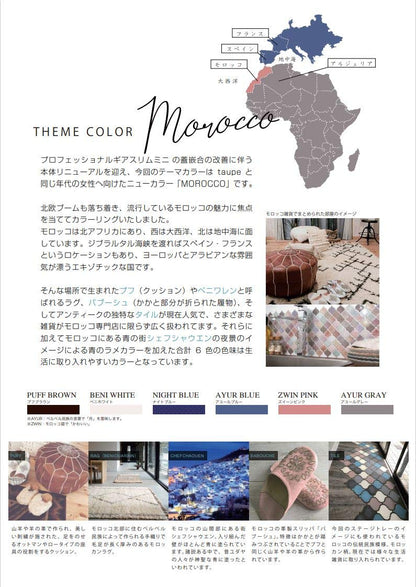 Sailor Fountain Pen Professional Gear Slim Mini Gold Japan Medium Fine Beni White 11-1503-310- Japan Figure Store - #1 Bring To You The Best Japanese Goods