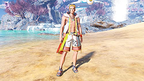 Sega Phantasy Star Online 2 New Genesis Starter Package Limited Edition For Nintendo Switch - New Japan Figure 4974365862411 3