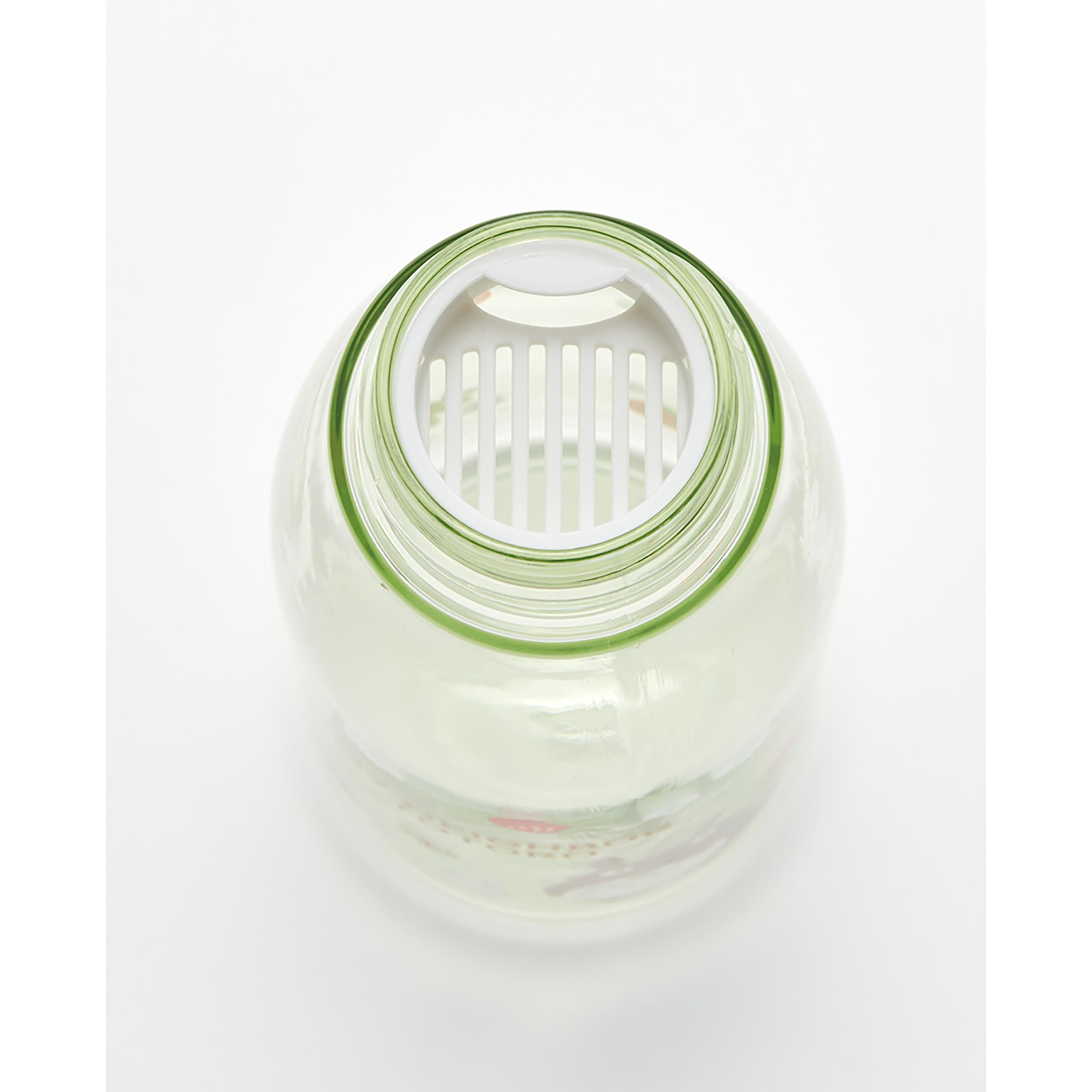 Skater Direct 500ml My Neighbor Totoro Strawberry Water Bottle with Tea Strainer PTY5-A- Japan Figure Store - #1 Bring To You The Best Japanese Goods