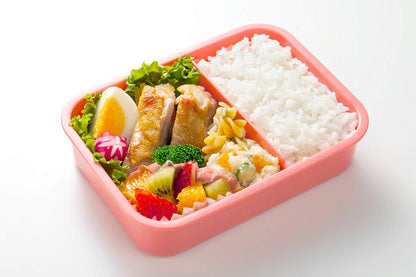 SKATER Dick Bruna Miffy Lunch Box 550Ml- Japan Figure Store - #1 Bring To You The Best Japanese Goods