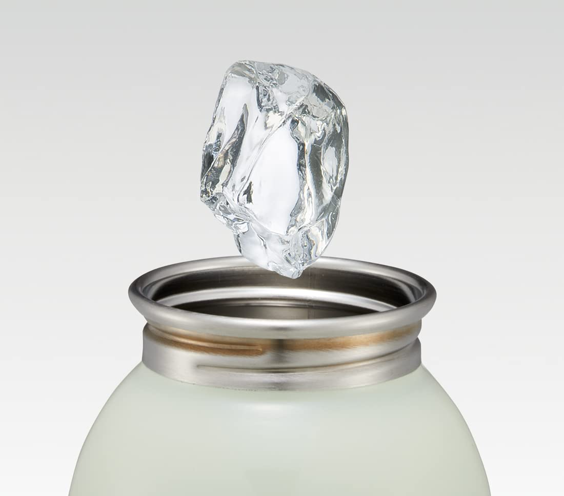 Skater 580ml SS Bottle My Neighbor Totoro Strawberry SSSC6-A- Japan Figure Store - #1 Bring To You The Best Japanese Goods