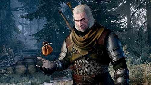 Spike Chunsoft The Witcher Iii Wild Hunt Playstation 4 Ps4 - Used Japan Figure 4940261511845 3