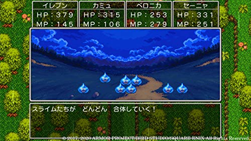 Square Enix Dragon Quest Xi S Echoes Of An Elusive Age New Price Version Playstation 4 Ps4 - New Japan Figure 4988601010733 2