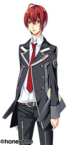 Starry * Sky Spring Stories Sony Ps Vita - New Japan Figure 4560269478065 3