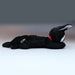 SUN ARROW Plush Doll Kiki'S Delivery Service Kutakuta Jiji Resting M Size Tjn- Japan Figure Store - #1 Bring To You The Best Japanese Goods