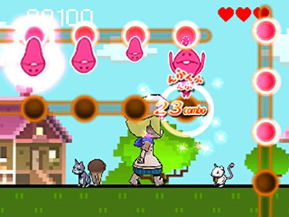 Success Touch Detective Nameko Rhythm [3Ds Software ] - New Japan Figure 4944076005056 4