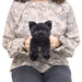 Sun Lemon Knee Cat Plush Ss Bk- Japan Figure Store - #1 Bring To You The Best Japanese Goods