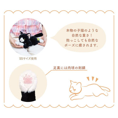 Sun Lemon Knee Cat SS P-8432- Japan Figure Store - #1 Bring To You The Best Japanese Goods