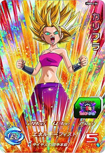 Super Dragon Ball Heroes 9 Pocket Binder Set- Japan Figure Store - #1 Bring To You The Best Japanese Goods