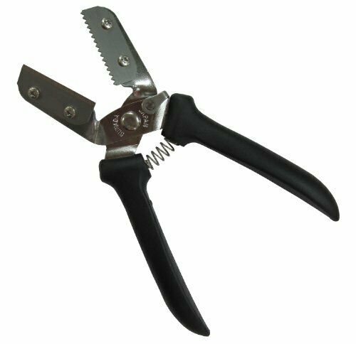 Suwada Open Factory Type Kurikuri Bozu Chestnut Peel Scissors- Japan Figure Store - #1 Bring To You The Best Japanese Goods