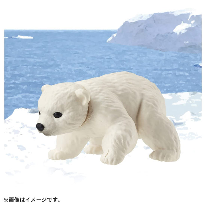 Takara Tomy Ania AC-10 Polar Bear Toy Ideal Dinosaur Toy for Children Ages 3+- Japan Figure Store - #1 Bring To You The Best Japanese Goods