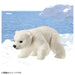 Takara Tomy Ania AC-10 Polar Bear Toy Ideal Dinosaur Toy for Children Ages 3+- Japan Figure Store - #1 Bring To You The Best Japanese Goods