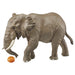 TAKARA TOMY As-02 Animal Adventure African Elephant With Orange Figure- Japan Figure Store - #1 Bring To You The Best Japanese Goods