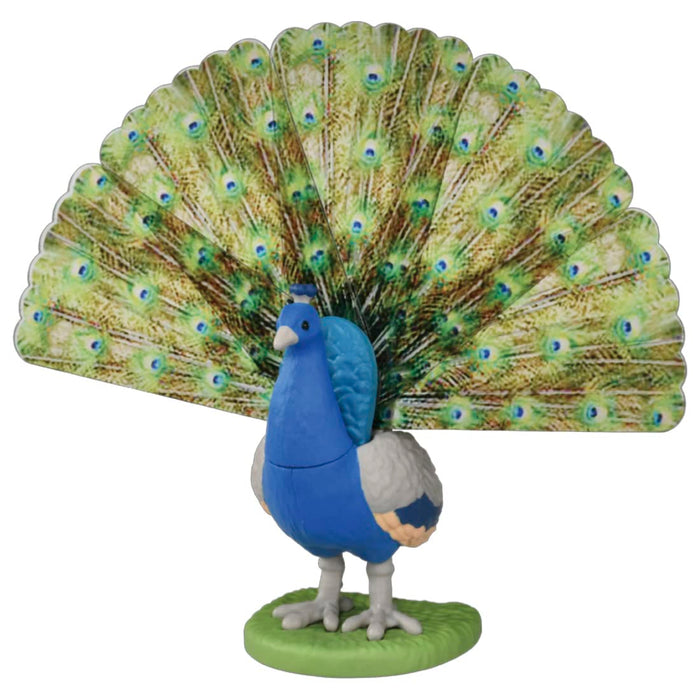 Takara Tomy Ania AS-16 Indian Peacock Dinosaur Toy for Kids Ages 3+- Japan Figure Store - #1 Bring To You The Best Japanese Goods