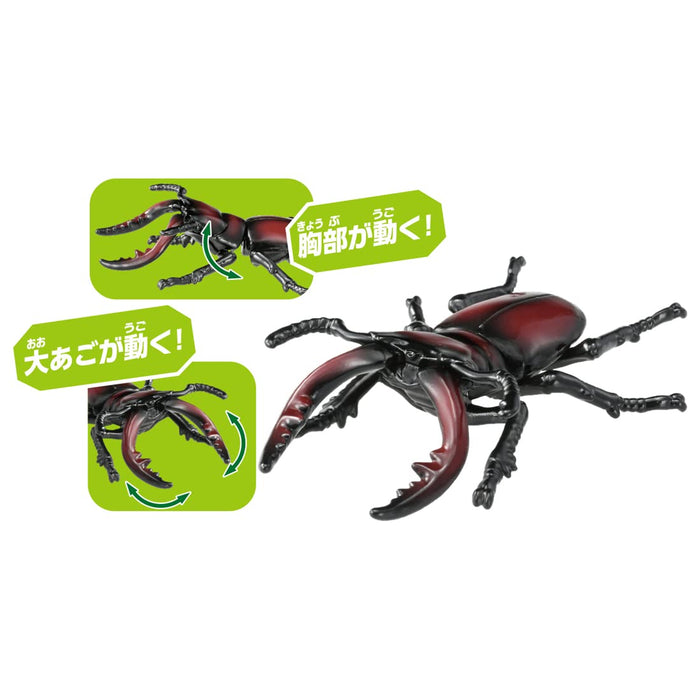 Takara Tomy Ania As-43 Stag Beetle Animal Toy From Japan Age 3+- Japan Figure Store - #1 Bring To You The Best Japanese Goods