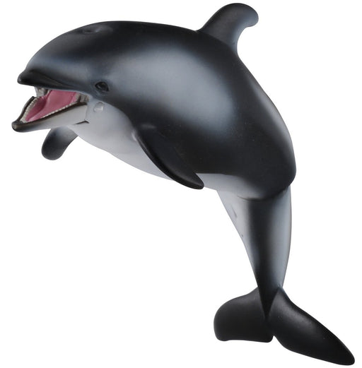 Takara Tomy Ania AS-19 White-Faced Dolphin Realistic Toy Suitable Ages 3 and Up Safety Certified- Japan Figure Store - #1 Bring To You The Best Japanese Goods
