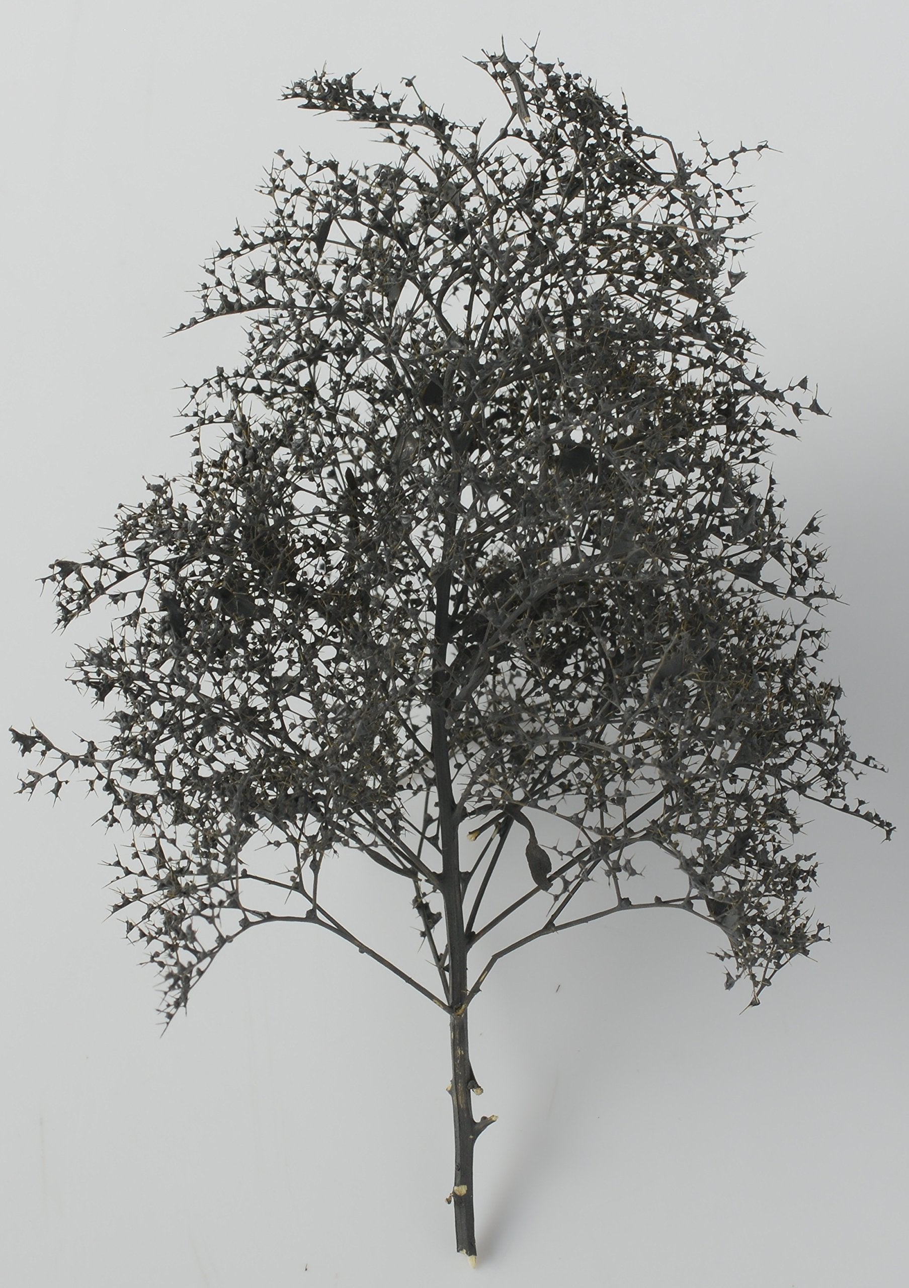 Kato Woodland Scenics Natural Black Trees 24-368 Model Railway Supplies- Japan Figure Store - #1 Bring To You The Best Japanese Goods