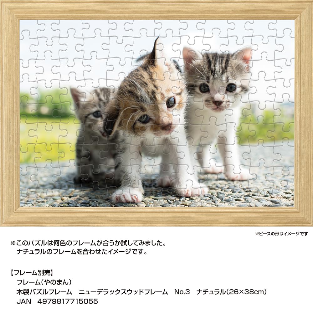 Yanoman 108Pc Jigsaw Puzzle Why Why Why? 26X38cm- Japan Figure Store - #1 Bring To You The Best Japanese Goods