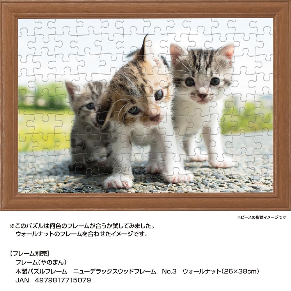 Yanoman 108Pc Jigsaw Puzzle Why Why Why? 26X38cm- Japan Figure Store - #1 Bring To You The Best Japanese Goods